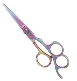 Professional Hair Cutting Scissors 